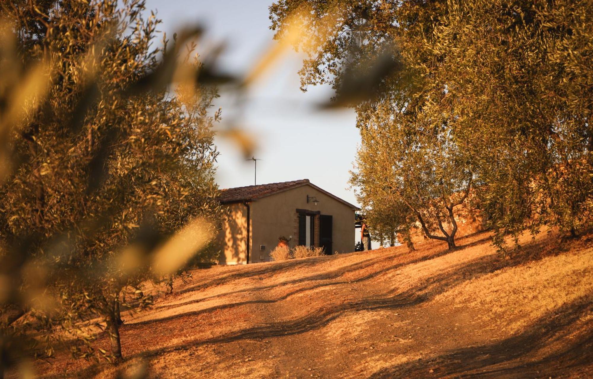 Country House Poggio Aione Guest House Catabbio Eksteriør bilde